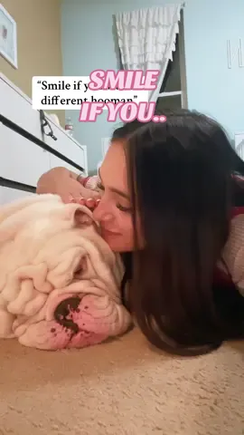 A post by @jupiterthebulldog on TikTok caption: Didn’t even budge 💯