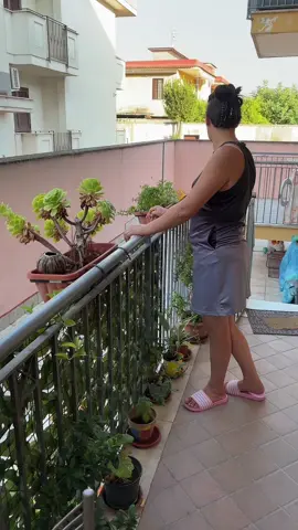 A post by @amedeo086 on TikTok