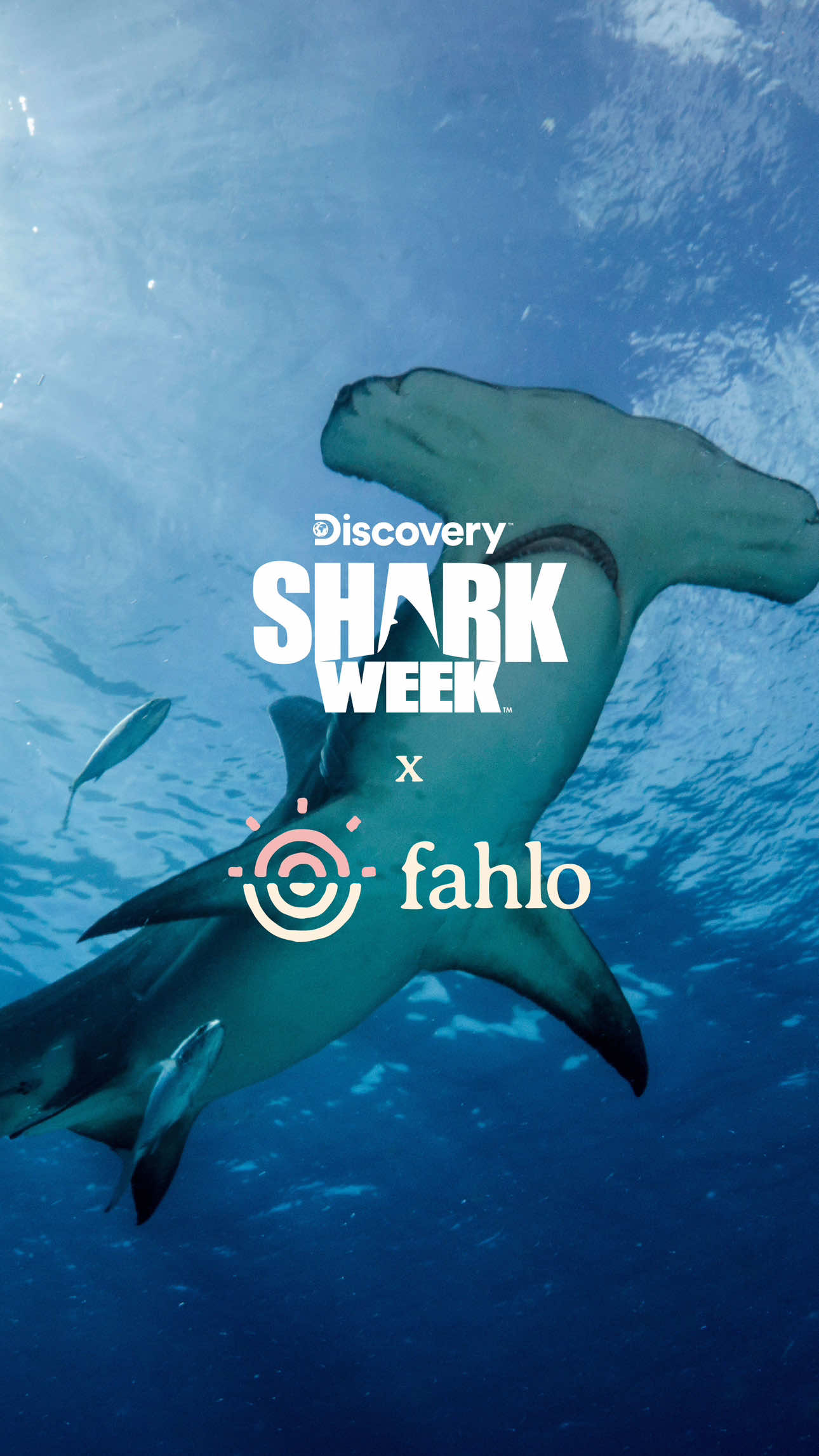 A post by @mermaid.kayleigh on TikTok caption: Were you surprised at the wildlife I saw on today’s ocean safari? 🦈 We never know what we’ll find out there tracking wildlife! But with SHARK WEEK right around the corner I’m tracking real hammerhead sharks with @Fahlo bracelets in partnership with @Saving the Blue! I’m hoping to spot my shark in this year’s episodes! 💙 Will you be watching & tracking?! #SharkWeek #FahloPartner #Fahlo #MyFahlo #discoverysharkweek 