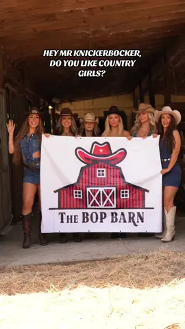 A post by @thebopbarn on TikTok caption: We have a great selection 🤠 #bopbarn #thebopbarn #bop 