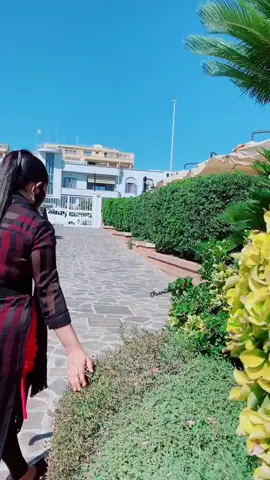 A post by @samiaasha on TikTok caption: #onthisday #tictokitaly #dramaqueen #foryou #samiaasha 
