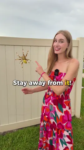 A post by @ariannitalagringa on TikTok caption: How to refer to a pet 🐶 #ariannitalagringa #englishwithariannitalagringa #learnenglish #english #englishteacher #ingles #inglesonline #teacher 