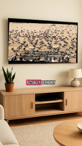 A post by @relltheremedy on TikTok caption: I’m not saying it’s true. I just have questions 😂 Do pigeons ever sleep? Why don’t we ever see baby pigeons? Do they disappear when it rains? Why are they never in trees only sidewalks and ledges? Why do they all look exactly the same? Why aren’t they afraid of people? Have you ever seen someone own a pigeon as a pet besides Mike Tyson? Why are they always near crowded areas and cameras? Do they even have nests? Why do they sit on power lines like they’re charging? Why don’t they migrate? What are they really watching?