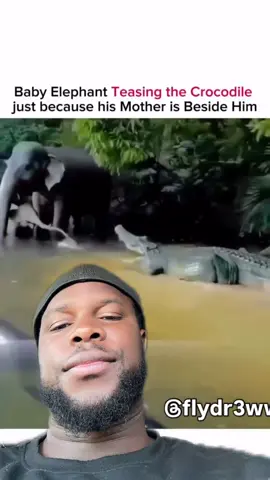 A post by @sonny_spam05 on TikTok caption: #devinelapersonne top 5 des animaux qui se font djoufara par des bébé.. 