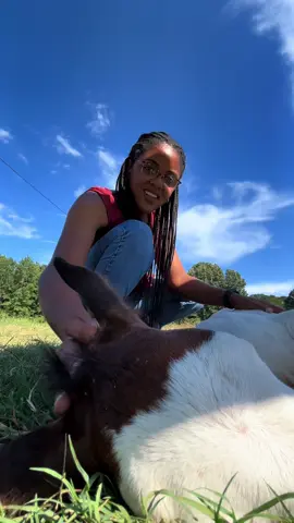 A post by @julie__perry on TikTok caption: Why do I like white faced horses so much? I like applying creams to their faces apparently. 🥹 