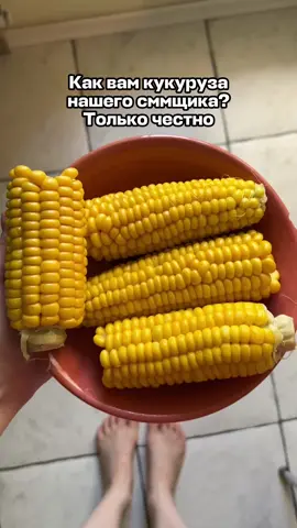 A post by @aviasales on TikTok caption: вам нравится? 