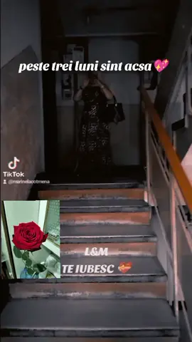 A post by @marinelacotmena on TikTok caption: @Lucian ( Marinela Oficial ) 