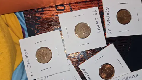 A post by @jamiejohnson0918 on TikTok caption: #collect #collecter #coincollecting #coincollection #oldcoins #old #coin #coinfamily #collections #foryoupage #fpyシ #foryoupageofficiall #foryoupage❤️❤️ 