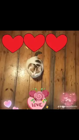 A post by @sophiecailleretz on TikTok