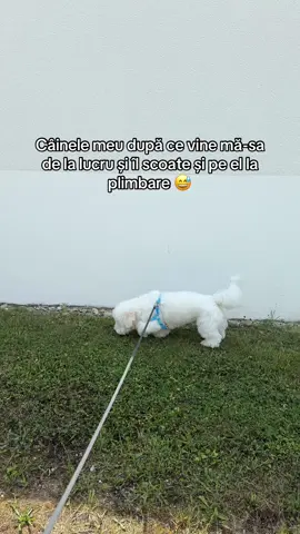 A post by @_ancutaaa_ on TikTok