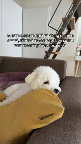 A post by @_ancutaaa_ on TikTok