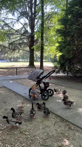 A post by @ on TikTok