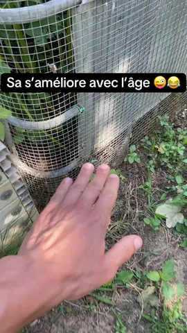 A post by @alex777terieur on TikTok caption: #jardinage #astuce #potager #permaculture 