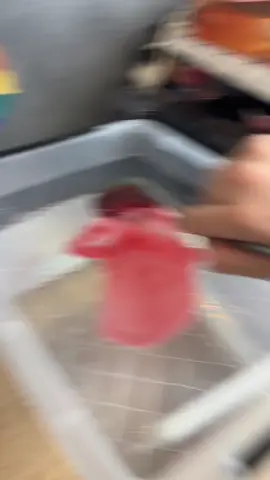A post by @marvinlaqueen on TikTok caption: Réponse à @bellazon c’est pratique sans trop l’être mdrrr
