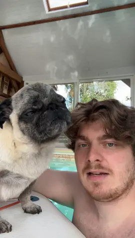 A post by @cyrilschr on TikTok caption: 😂😂😂