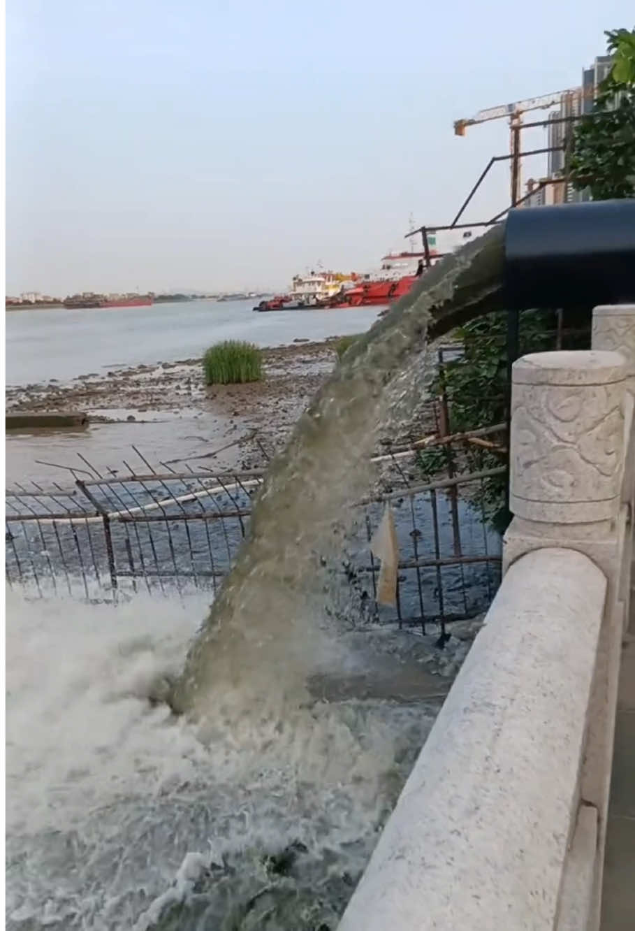 A post by @wsmnx on TikTok caption: 中共国又在排毒水了，真双标啊！😂