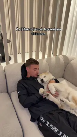 A post by @tomsursnaaaap on TikTok