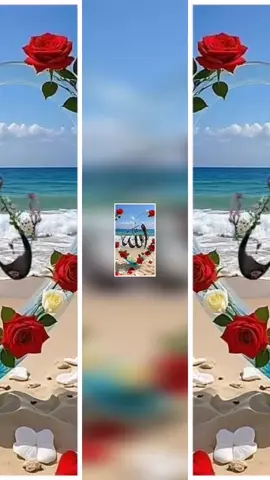 A post by @rumibegum794 on TikTok