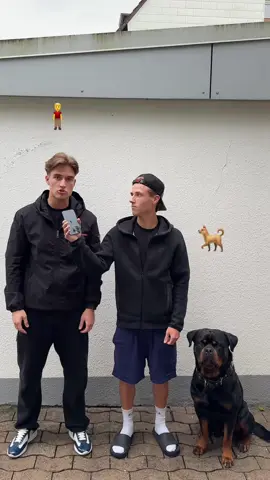 A post by @riitoonn on TikTok caption: @Shpetimcanelo 🐶 