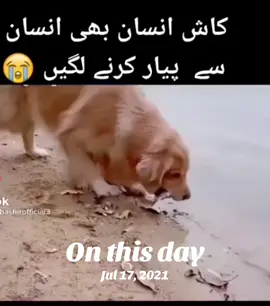A post by @oliveruchi on TikTok caption: #onthisday 