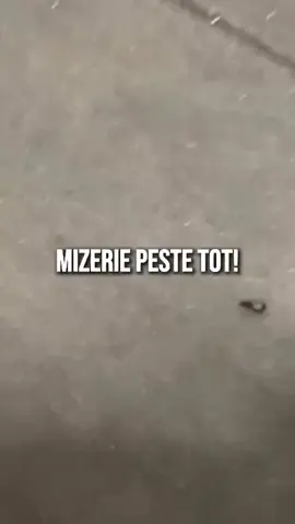 A post by @cristianpopescupiedone on TikTok