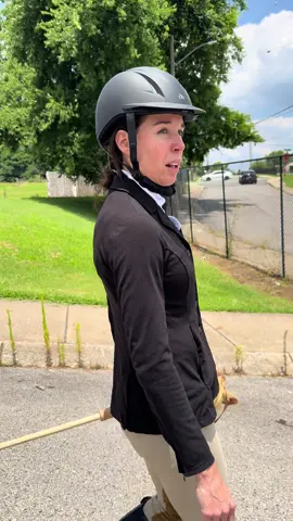 A post by @danaehays on TikTok caption: The life of a Hobby Horser is no joke 