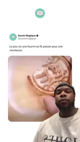 A post by @sonny_spam05 on TikTok caption: #devinelapersonne Chez les fourmis si t’es pas sûr de l’info faut rien dire sinon ça te mélange 🤣