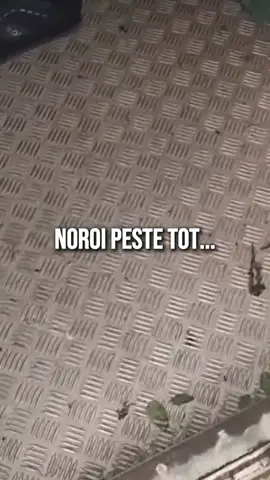 A post by @cristianpopescupiedone on TikTok