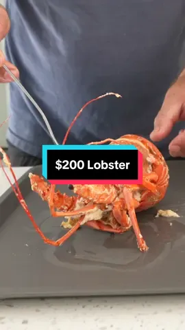 A post by @by_the_water on TikTok caption: I Ate a $200 Lobster #seafood #lobster #japan 