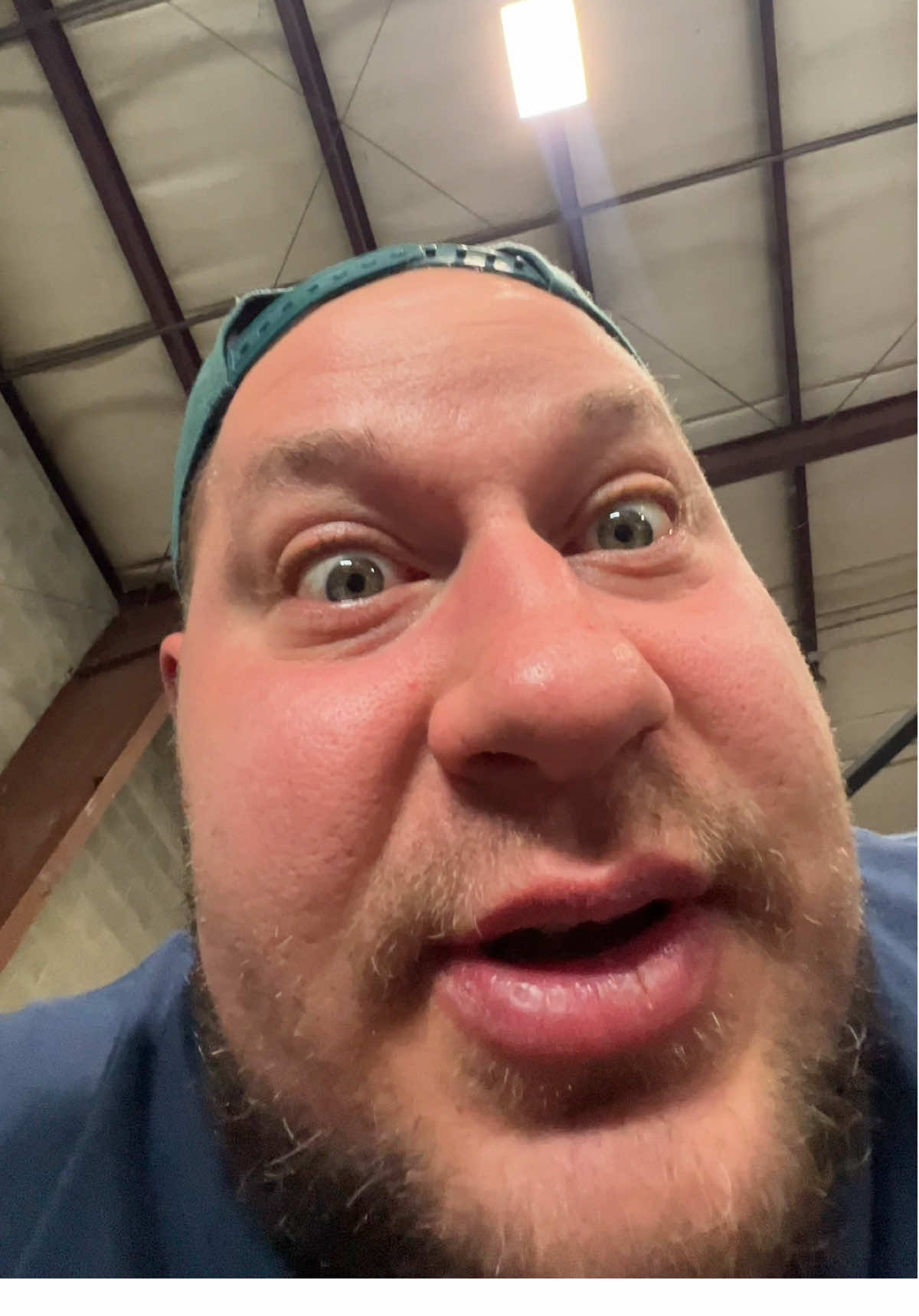 A post by @borshgreg on TikTok caption: 🕷️ 🌶️ 🪰💀#гришаборщ #пауки #мухи #новыедома 