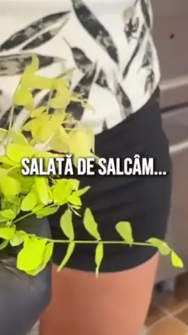 A post by @cristianpopescupiedone on TikTok