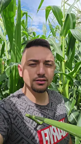 A post by @petcuflorin1 on TikTok caption: #faloow #fyp #fy 