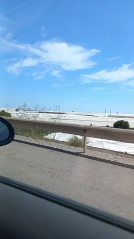 A post by @noe_3535 on TikTok caption: #🦀⚖️ #parati #tiktok 
