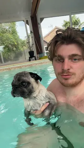 A post by @cyrilschr on TikTok caption: IL A FAILLIE CE NOYER 😭😭