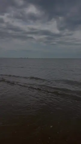 A post by @svetabrantly16 on TikTok