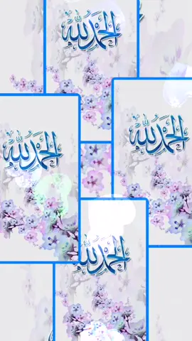 A post by @rumibegum794 on TikTok