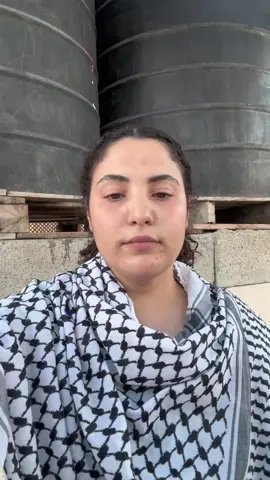 A post by @wizard_bisan1 on TikTok caption: This is my testimony, you have no excuse to not break this loop to not stop this whole economy until Gaza has food! You have no excuse and we have no time.