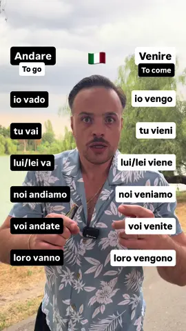 A post by @theitalianlanguageboss on TikTok caption: #italianlanguage #italianonline #learnitalianonline #onlinelearning 