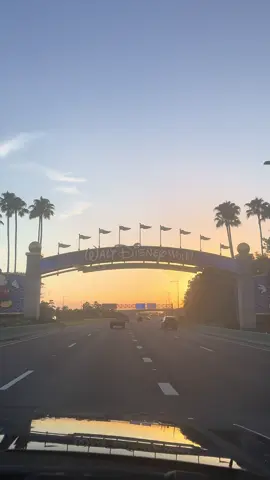 A post by @pescobar.paulnicolau on TikTok caption: #pescobar #disneyland #natalia 