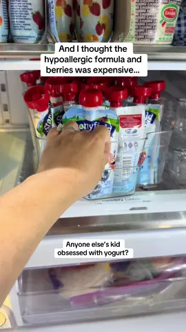 A post by @elabobak on TikTok caption: He has prob 3-4 smoothies and day and 3-4 yogurt pouches too 🫠 but #protein? 😂 #toddlersnacks #toddlerobsession 