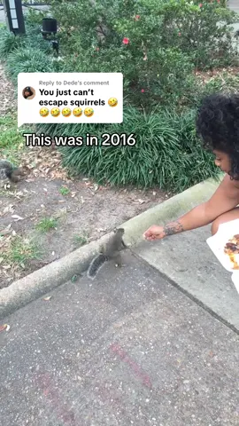 A post by @slaughterhousehair on TikTok caption: Replying to @Dede 