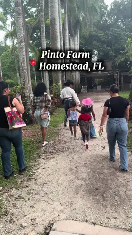 A post by @princesskb__ on TikTok caption: My baby enjoyed herself 💖 #pintofarm #horsebackriding #birthday #miami #fyp 