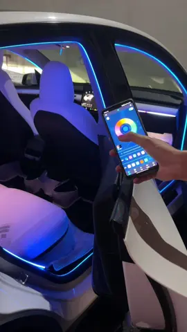 A post by @hengshiyulights on TikTok caption: Car LED illusion door frame ambient light#car #carmodification #carinteriorlight #carmodifications2025 