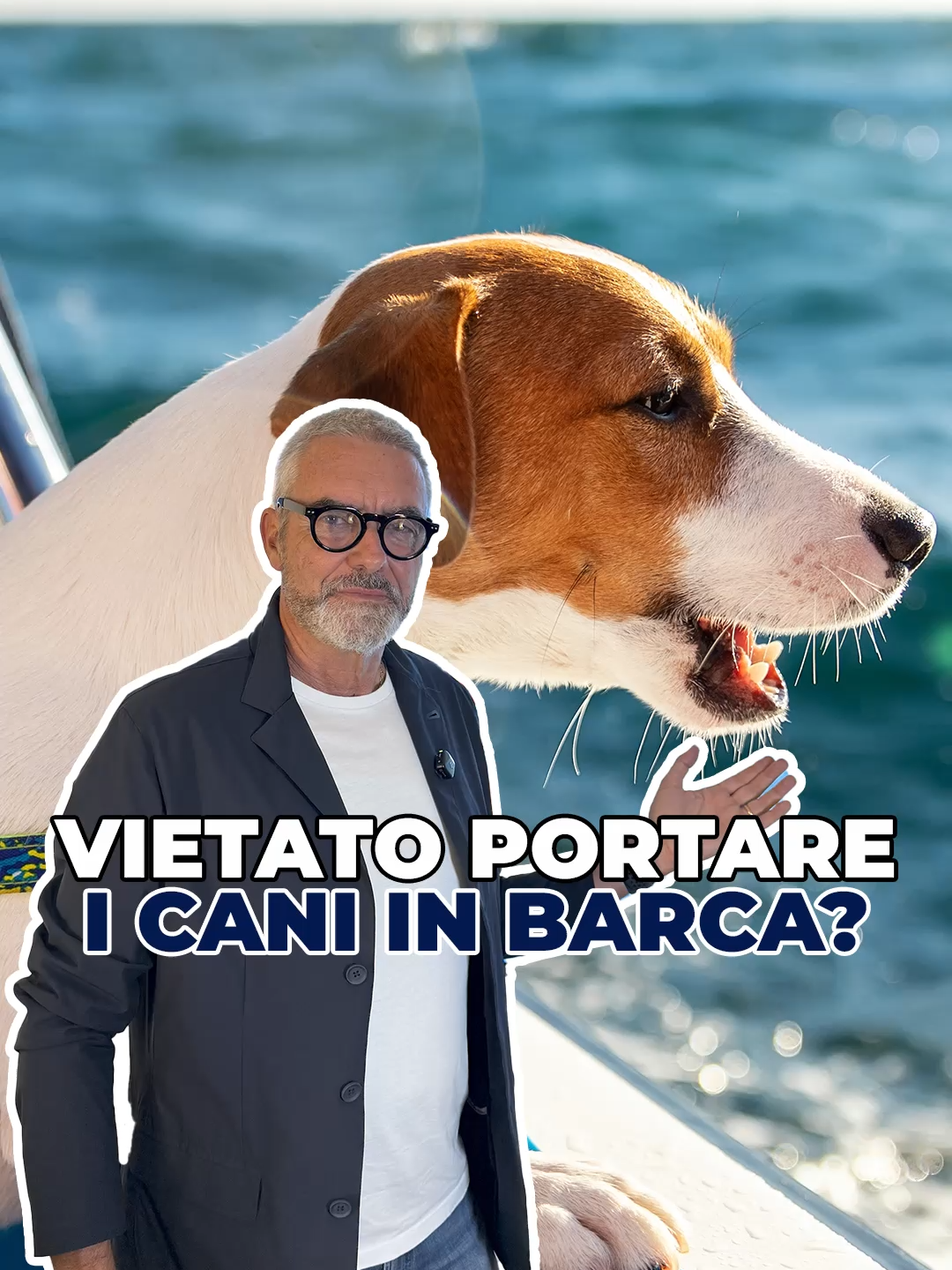 A post by @scuolanauticadelta on TikTok caption: È vietato portare i cani in barca?! ⛵️Scuola nautica Delta 📞0583 947059 📍Via Provinciale di Sottomonte, 15, Guamo 📧 info@scuolanauticadelta.it ⏰ LUN-VEN 9:00-13:00/15-19:00 ⏰SAB 10:00-12:00 🎬@afinet.it #patentenauticaonline #nautica #esamepatente #summer #sail #boat #scuolanautica #vitainmare #consiglinautici #curiosità #amoreperilmare #navigazione #patentenauticaentro12miglia #patentenautica