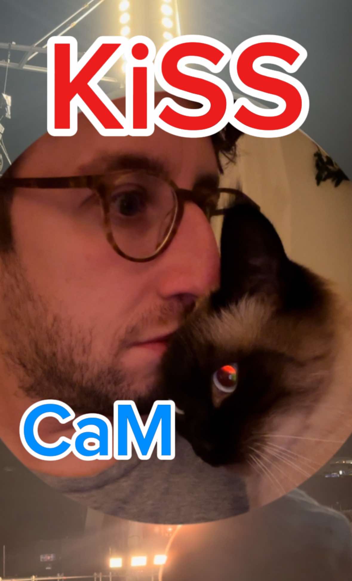 A post by @mervthecat on TikTok caption: WHOM MADE THis lmoa #coldplay #superman #coldplayconcert #catsoftiktok #bagagwa 