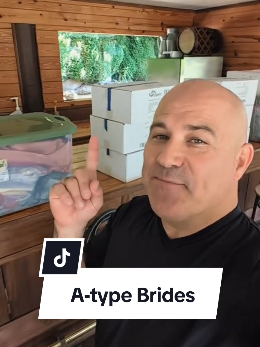 A post by @weddingduo on TikTok caption: This level of organization makes my planner heart so happy! 💗 Even if you dont get this detailed, the tubs are such a huge help for setup AND at the end of the night. 😁 #weddingduo #atypebride #weddingsetup #teacherbride #weddingorganization #weddingwin 