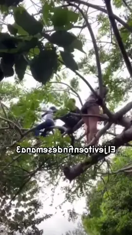 A post by @strangefishsea on TikTok caption: #fail #fails #failvideo #failcompilation #funny #funnyvideo #pranks #fyp 