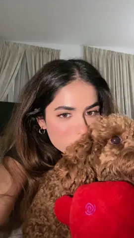 A post by @_.shivanyy on TikTok caption: Grrrr🤣🤣🤣🐶🐕