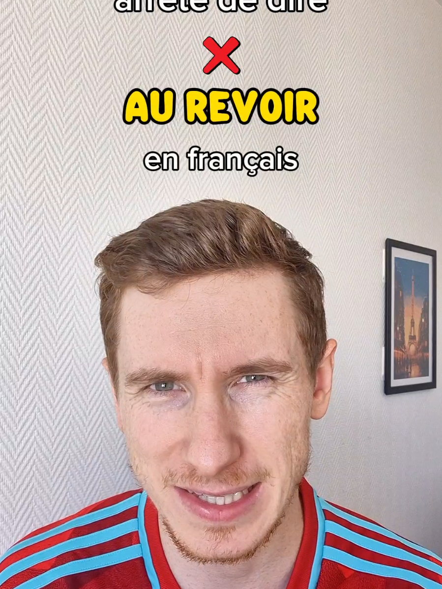 A post by @elmartino_french on TikTok caption: Alternatives à au revoir en français #education #language #apprendrelefrançais #learnfrench 