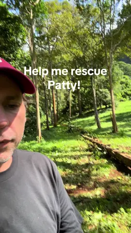 A post by @planting_peace on TikTok caption: Okay, y'all, I promised Patty I would get her out of this mess. So, please help me keep that promise! This poor girl has been working in the logging camps for 41 years! Doing this all while blind in one eye.  The good news is we have an amazing place we can bring her. At @FOLLOWING GIANTS , she will have plenty of space to roam with other rescued elephants. Most importantly... She will be free!  You can help rescue Patty by donating to her gofundme in my bio. You can also donate on our site: plantingpeace.org/Venmo: plantingpeace333. Thank you! - Aaron/Planting Peace 
